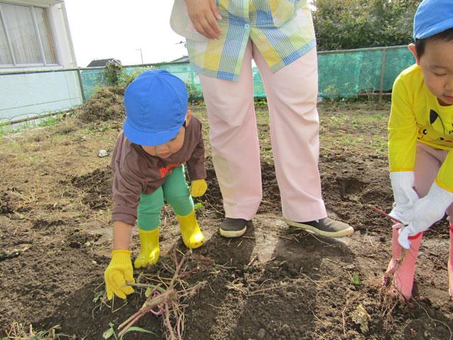 う～ん．．．なかなか抜けないな．．．