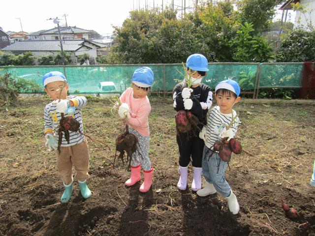 今年もたくさん掘れたよ！